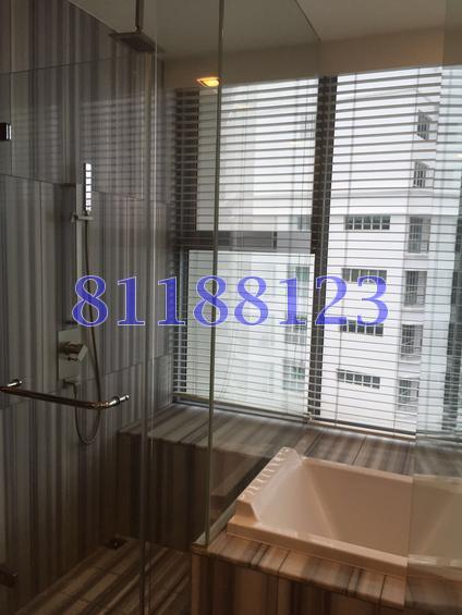 The Arc at Draycott (D10), Apartment #112497432
